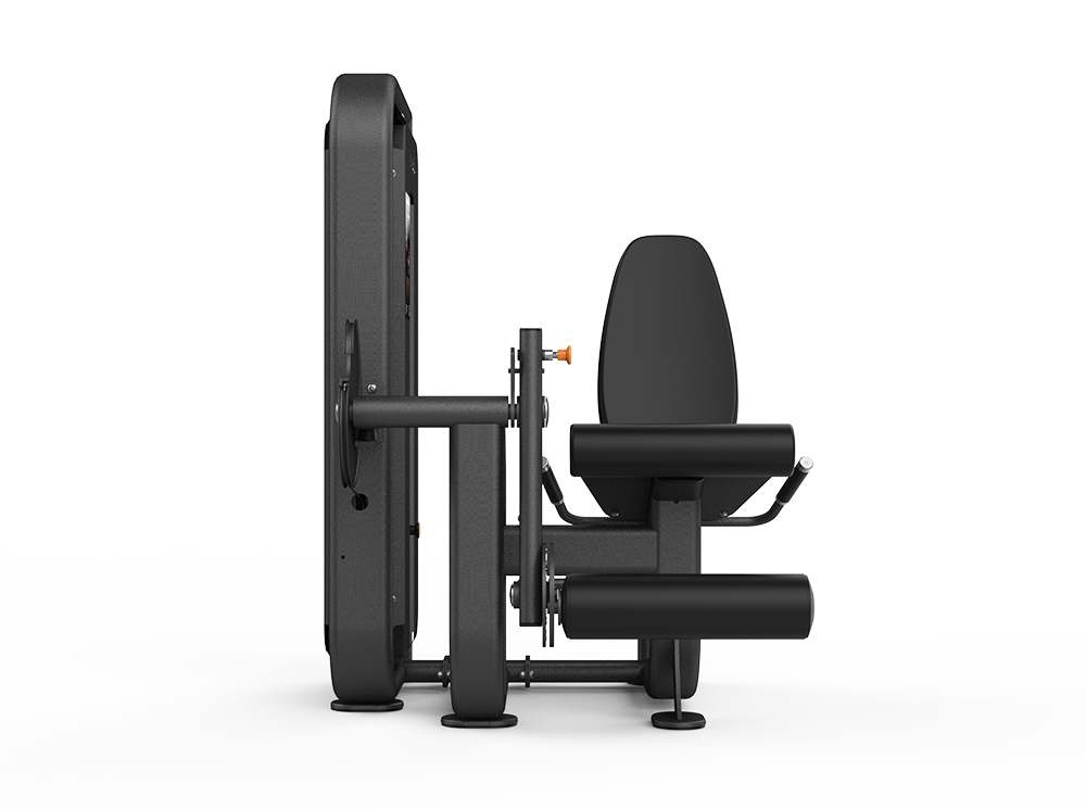 Leg Extension - Image 4