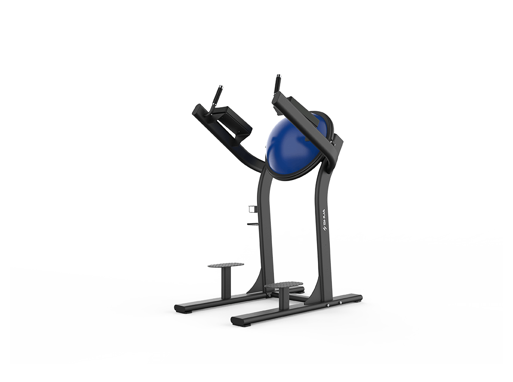 Leg Raise - Image 3