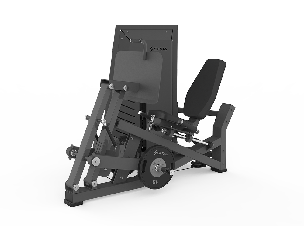 Hybrid Leg Press