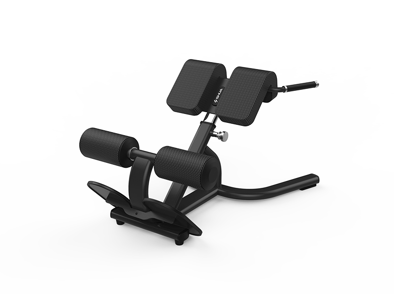 Back Extension