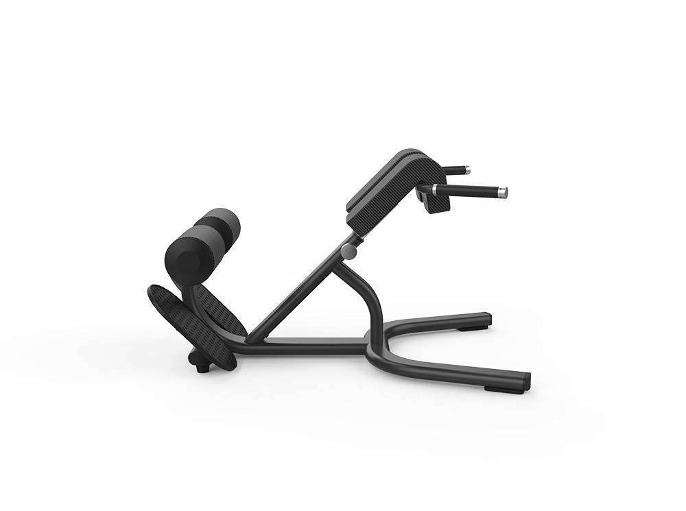 Back Extension - Image 2
