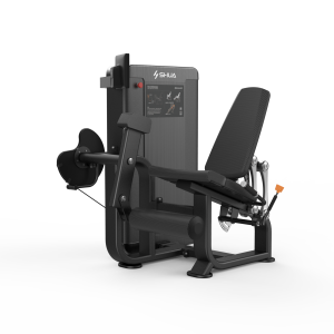 Leg Extension